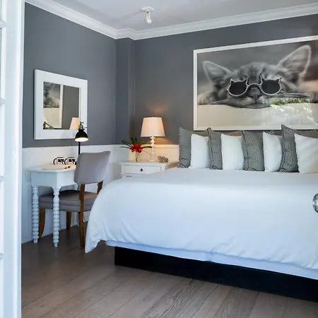Alexander'S Gay Lesbian Guesthouse (Adults Only) Key West Room photo