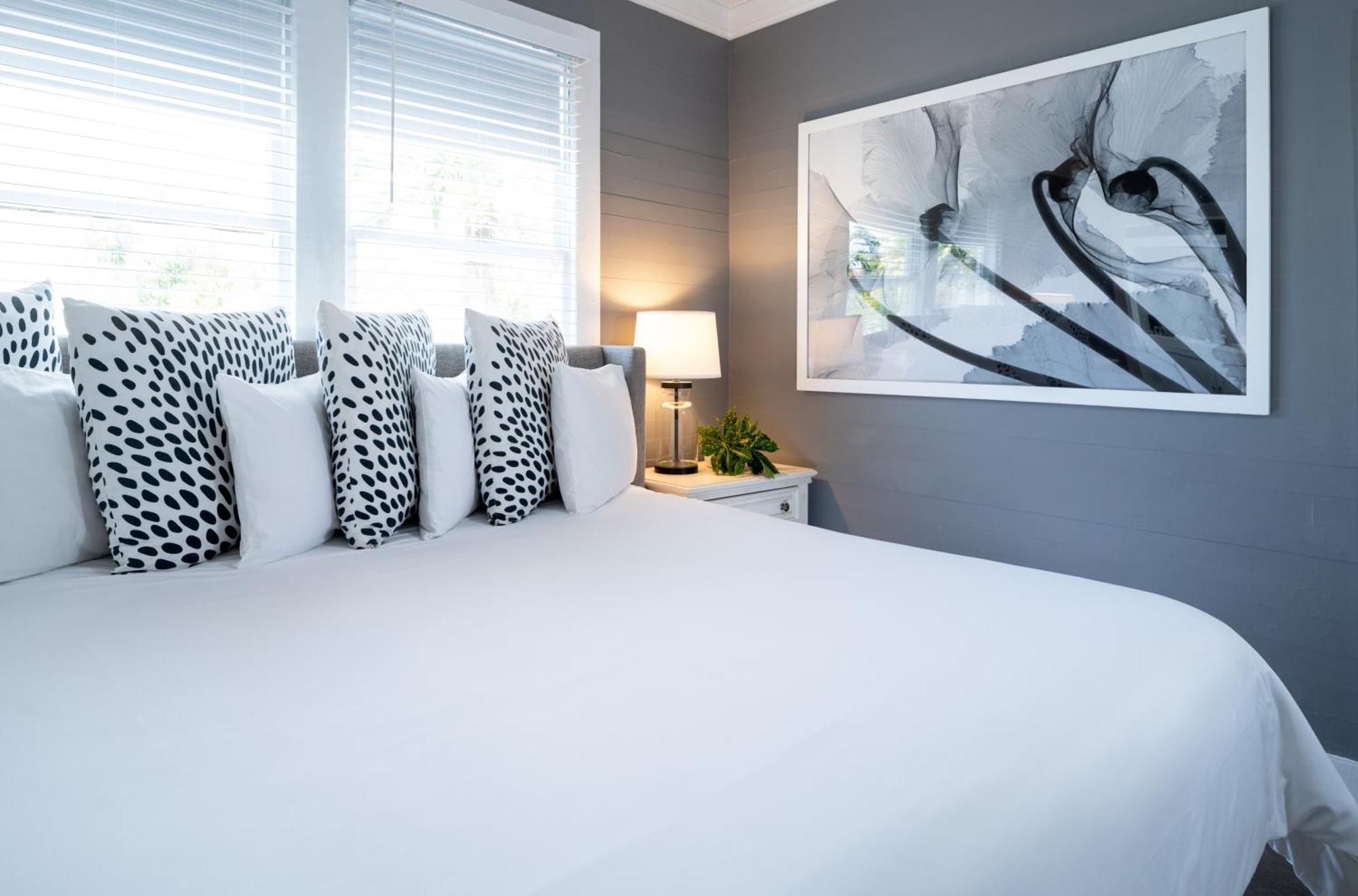 Alexander's Guesthouse-adult Exclusive, Lgbtq Friendly Bed and breakfast Cayo Hueso